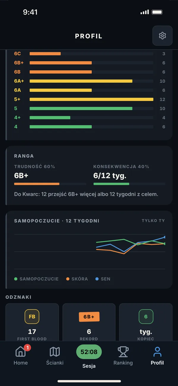 Profil wspinacza: piramida przejść według trudności, ranga i odznaki. Dane przykładowe